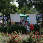 Stephanshausen DEMO Windwahn-20140719DSC08203.jpg
